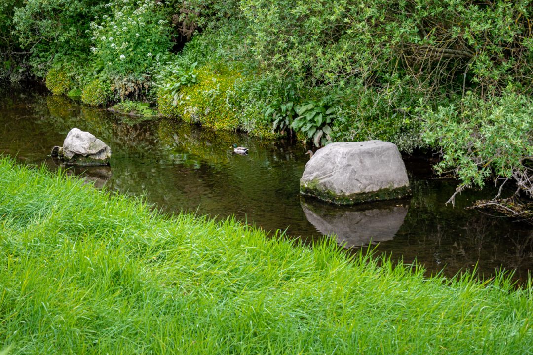 The Tramore River Cork